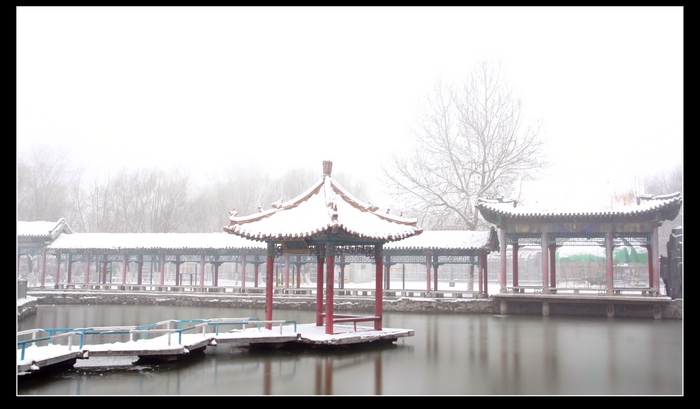 雪后