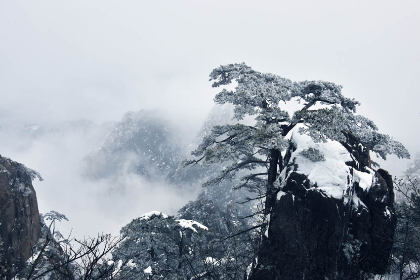 [原创]冬之黄山三