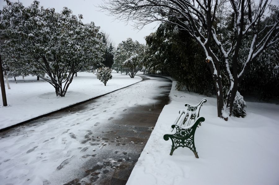 雪