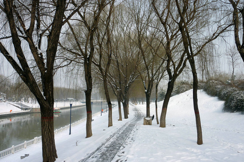 静雪