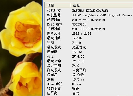 [原创]又拍几张梅花，求砖！！！