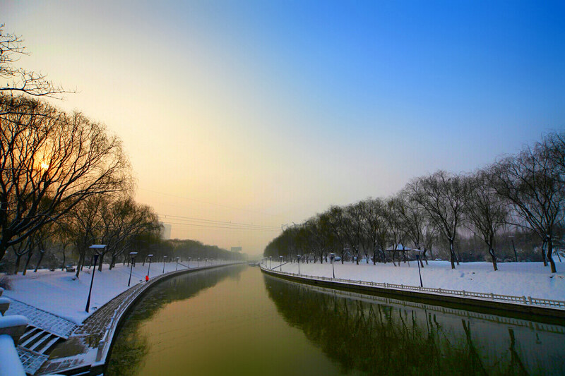 落雪有情春来早——身边小片一组