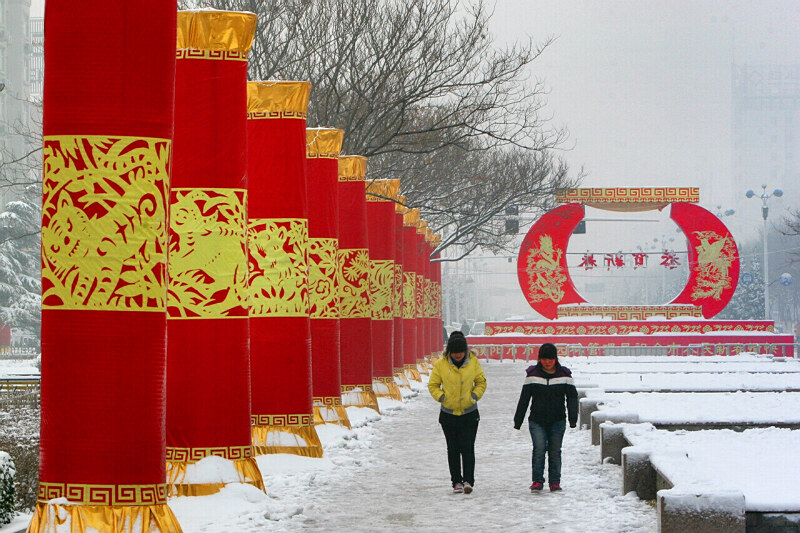 落雪有情春来早——身边小片一组