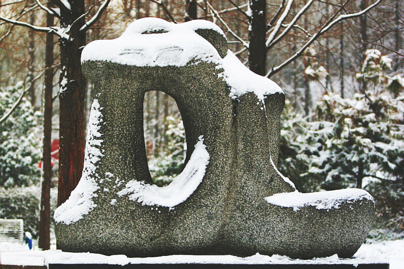 落雪有情春来早——身边小片一组