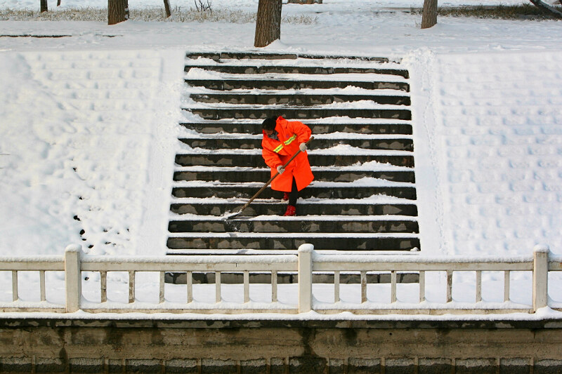 落雪有情春来早——身边小片一组