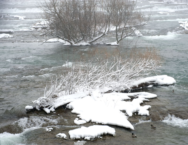 美国之行-----布法罗雪景相比之下比咱们这里要大点，大家下雪也不在房间待着，冒着风险让司机开车上山游览尼鈤加拉大瀑布