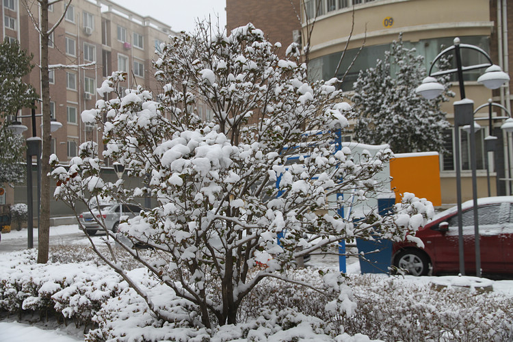 雪后小景