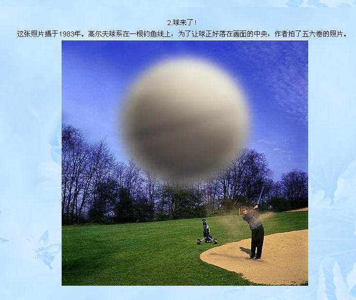 50张令人惊叹的照片!