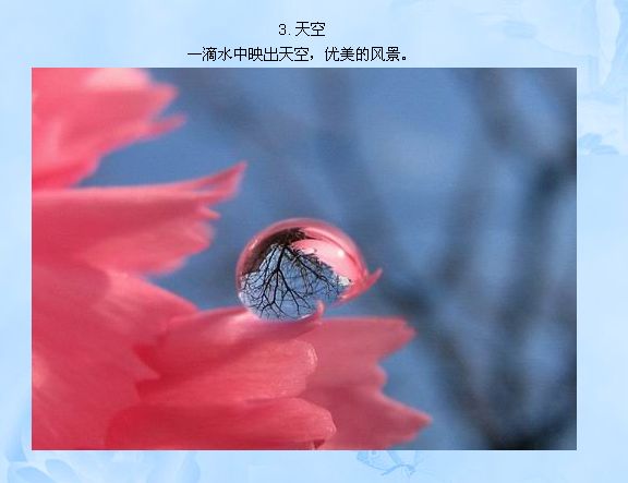 50张令人惊叹的照片!