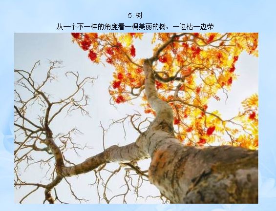 50张令人惊叹的照片!