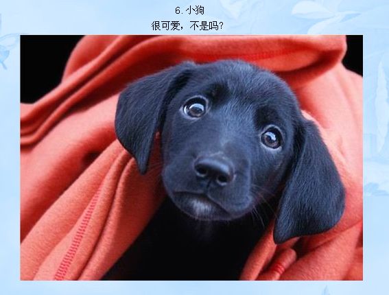 50张令人惊叹的照片!