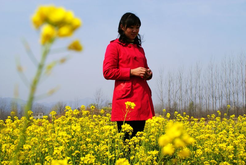 [原创]三月花烂漫 油区风景美