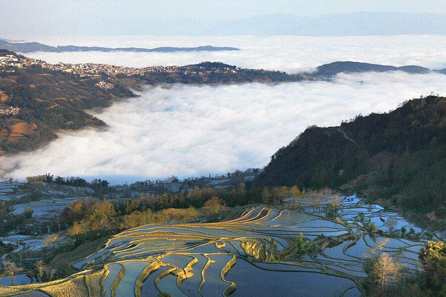 元阳梯田
