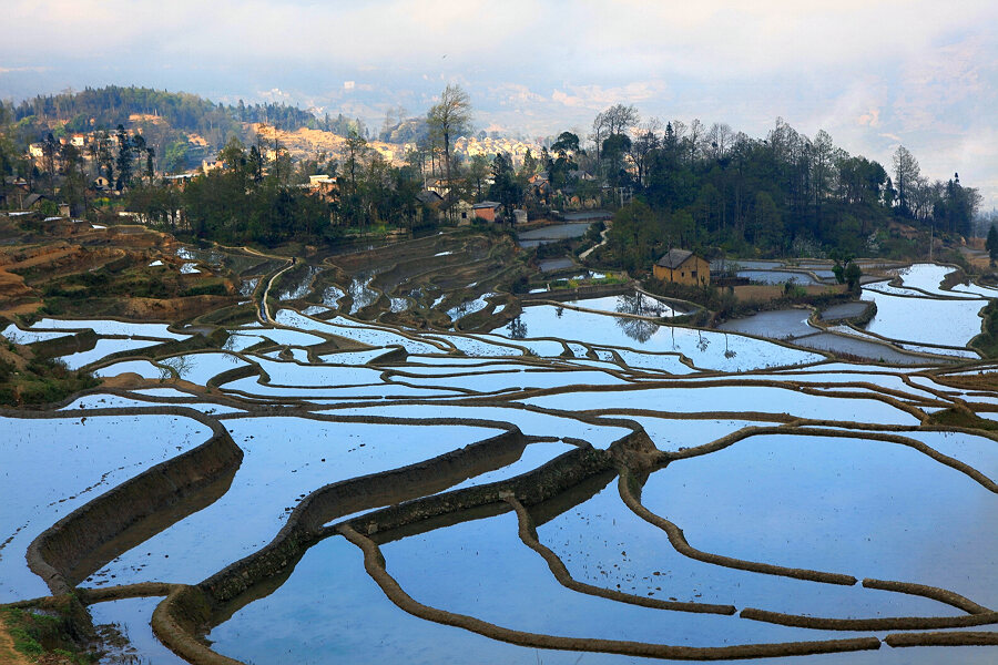 元阳梯田