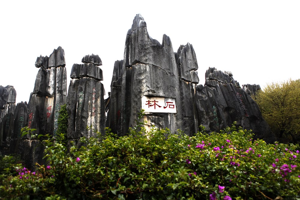 石林风光