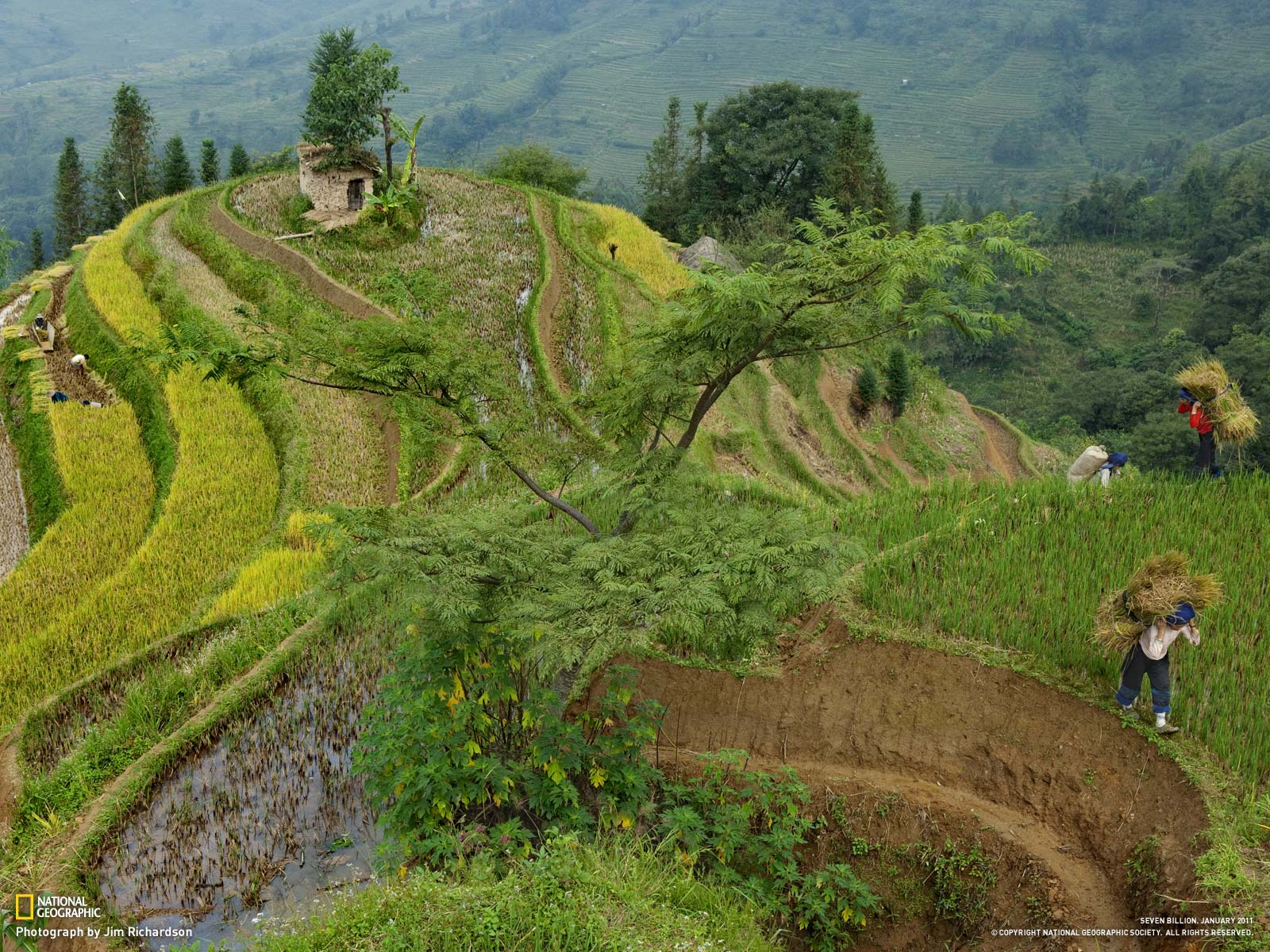 2011国家地理摄影作品