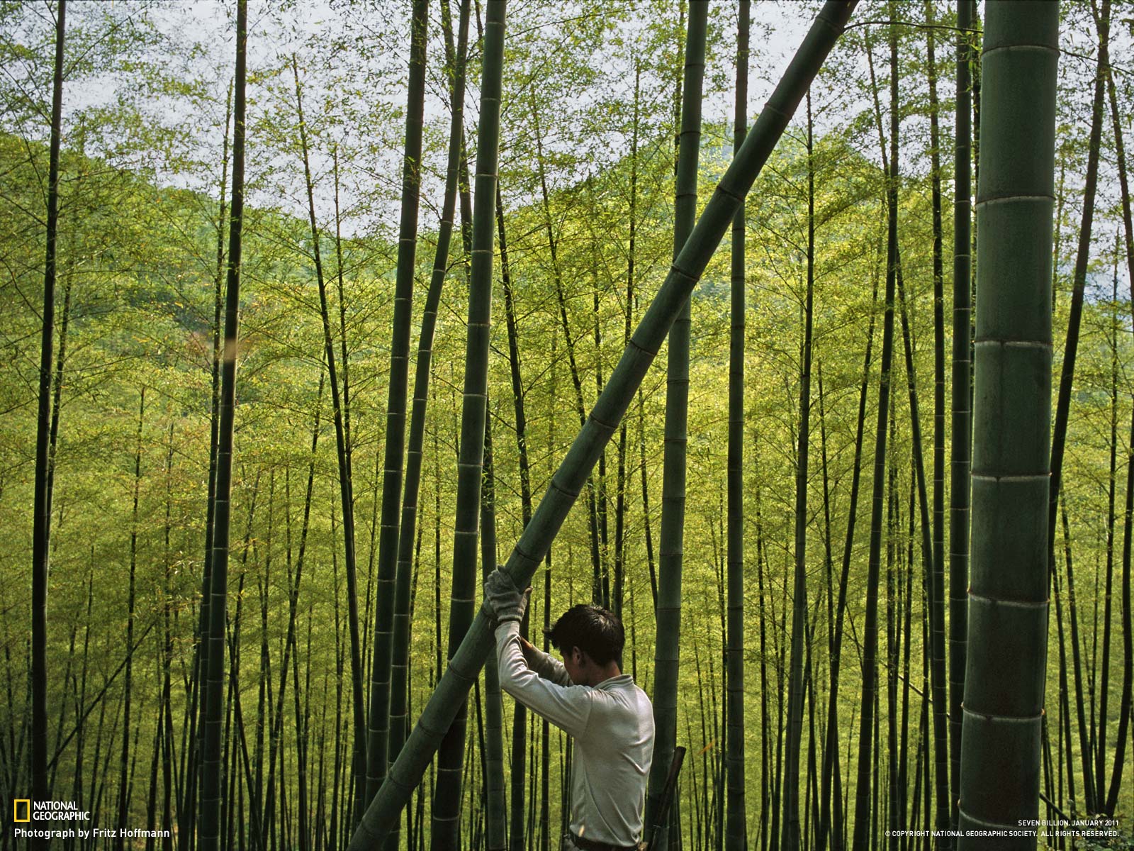 2011国家地理摄影作品
