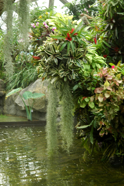 [原创]植物与健康