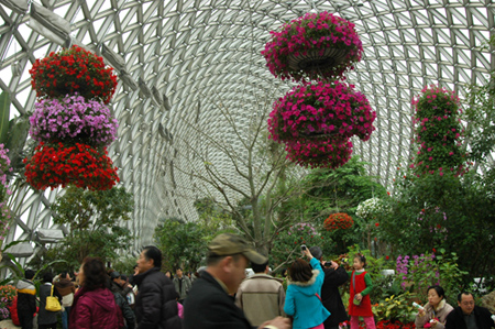 [原创]植物与健康