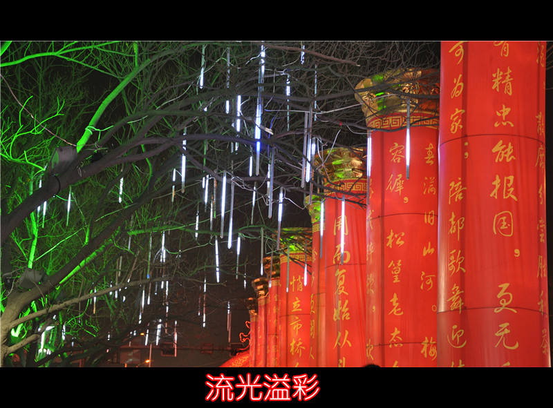 回望新年