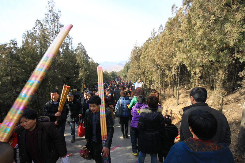 卧龙山二月二