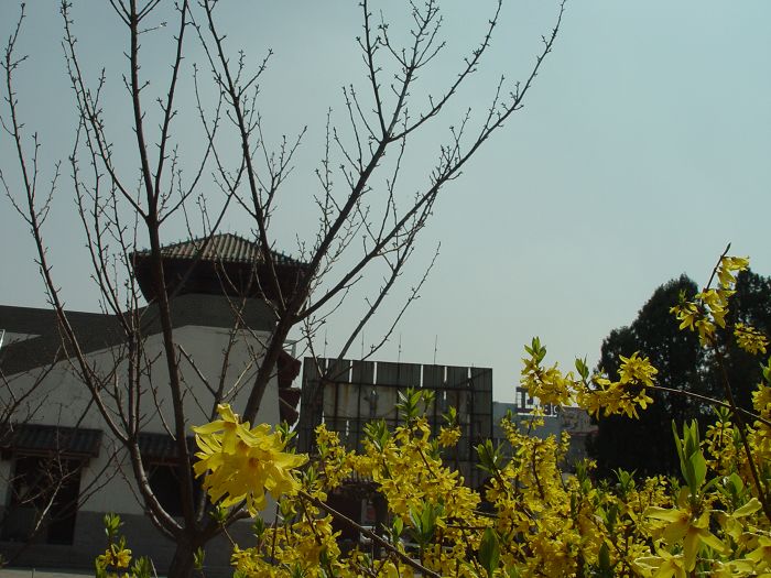 又到戚城