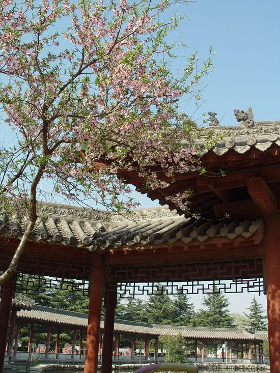 又到戚城