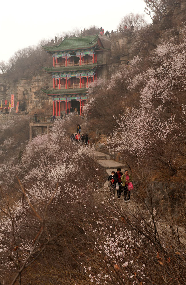 走近神农山——山色风俗