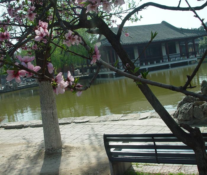 又到戚城