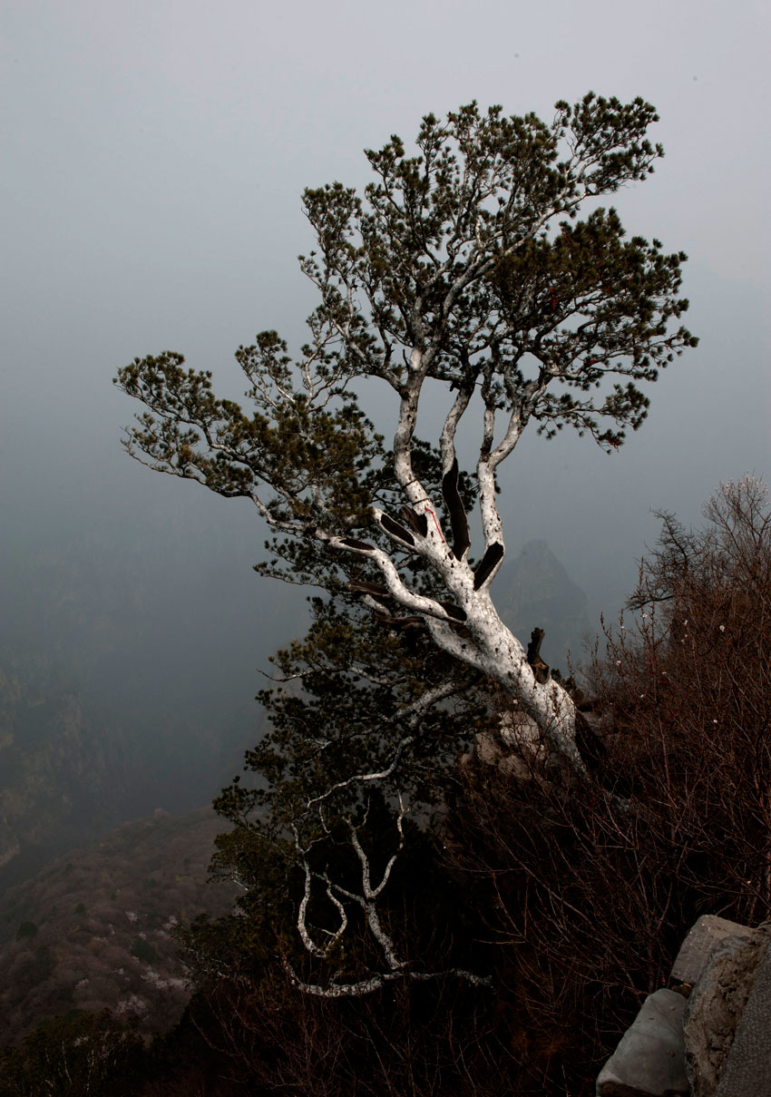 走近神农山——山色风俗