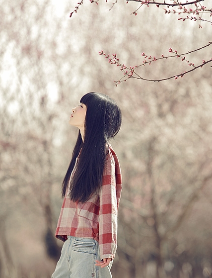那时花开（不断添加中）