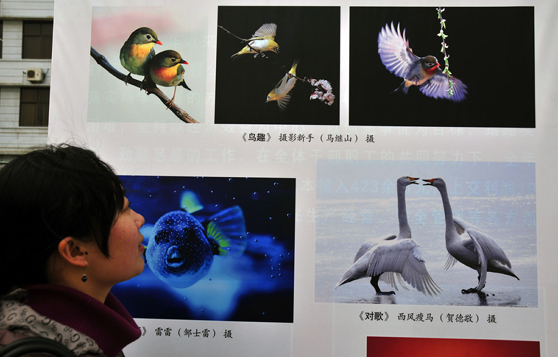 五周年影展花絮