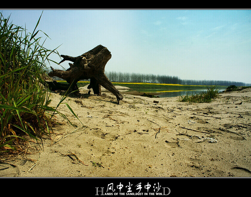 归乡