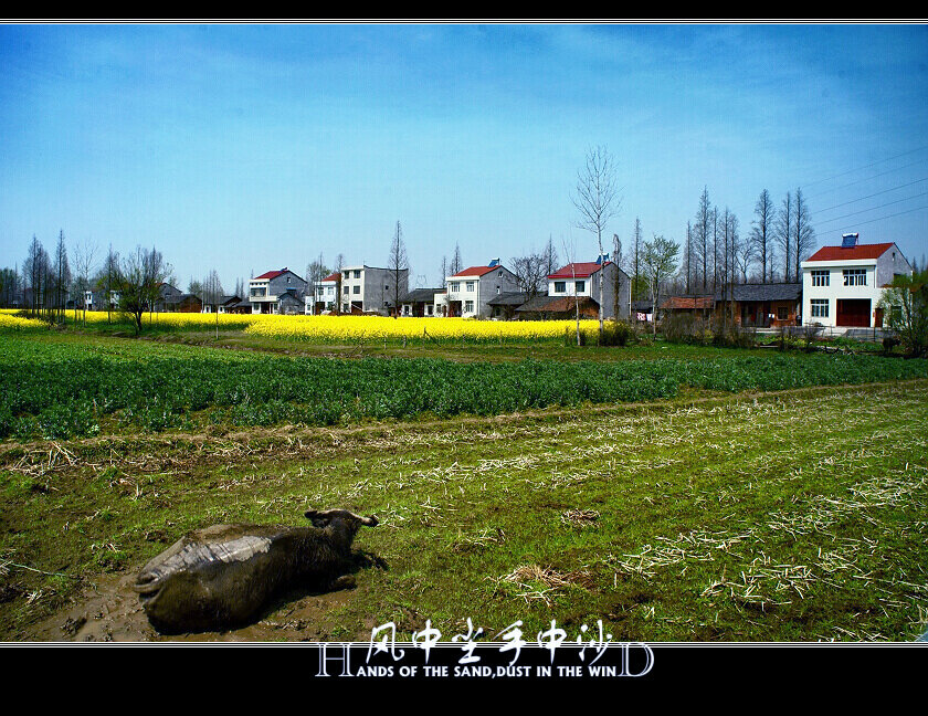 归乡