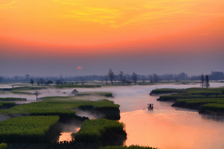 水上油菜花