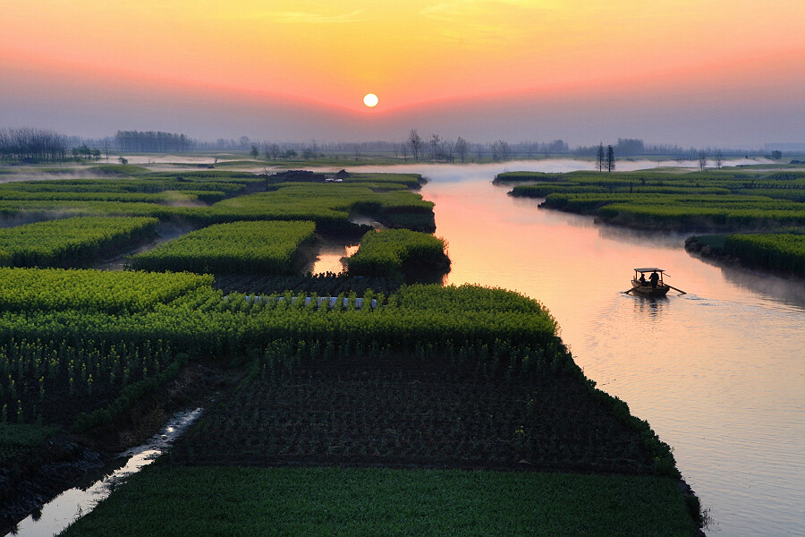 水上油菜花