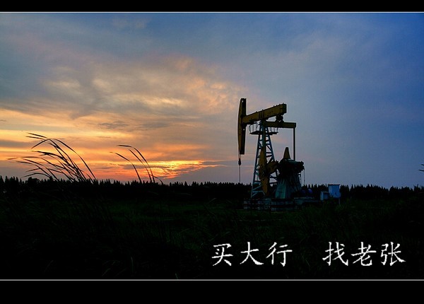 几张内黄桃花骑行小景