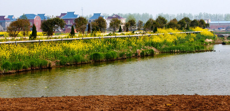 画中游----前几天跟几位老师到江苏油田、泰州、扬州等地采风受益匪浅。交几张作业请各位老师指点