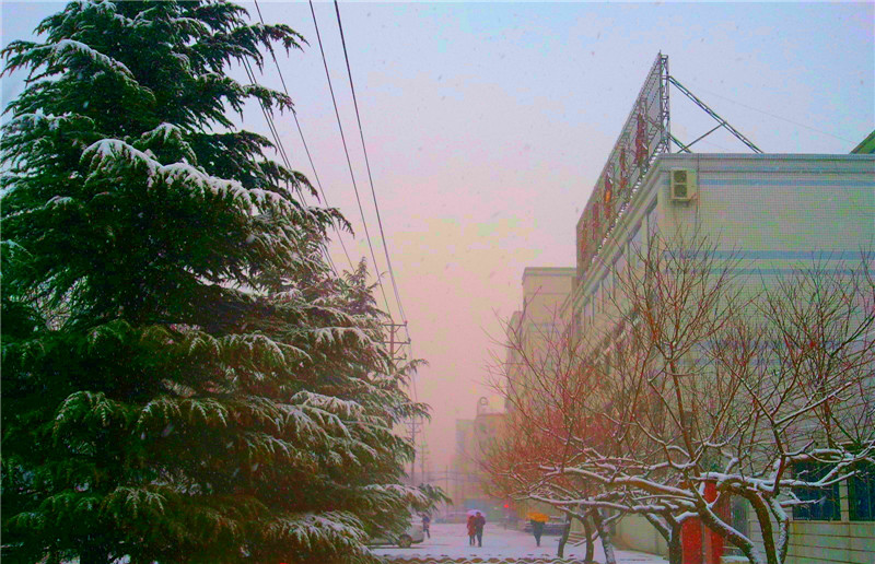 春日忆雪（手机版遗憾雪片）