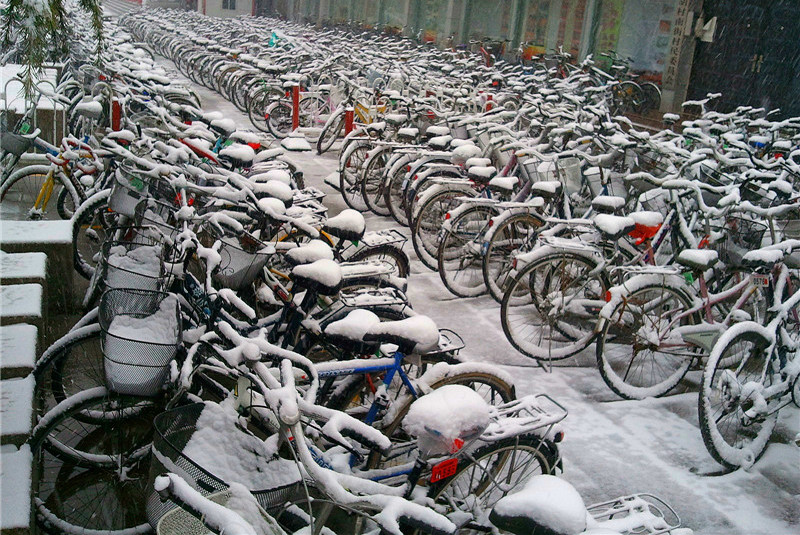 春日忆雪（手机版遗憾雪片）