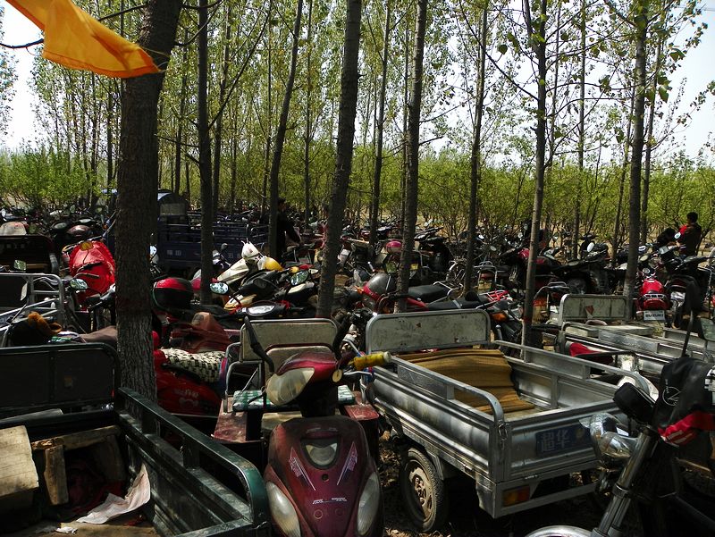 [原创]二帝陵祭祀随拍