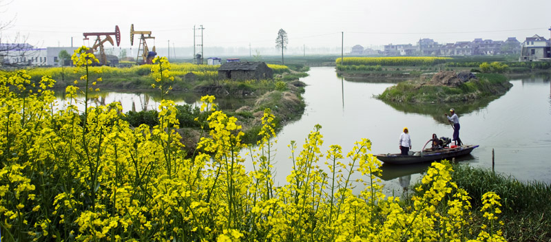花映油区