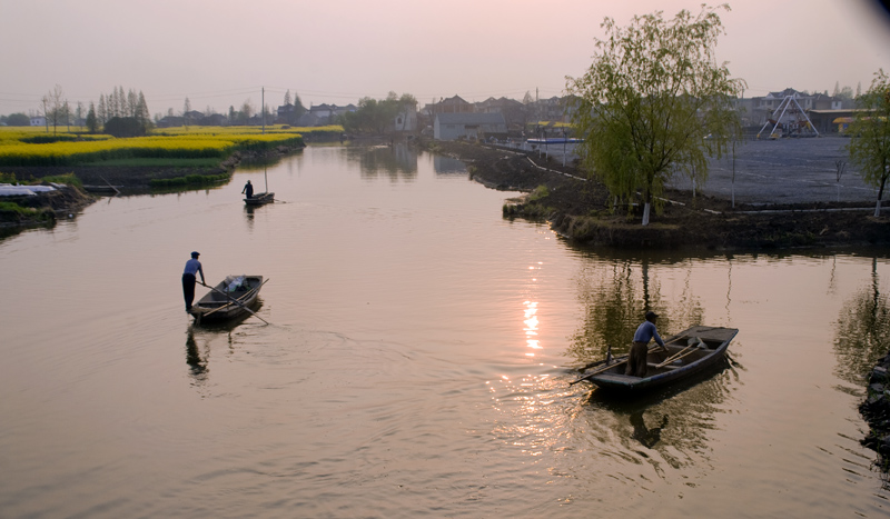 花映油区