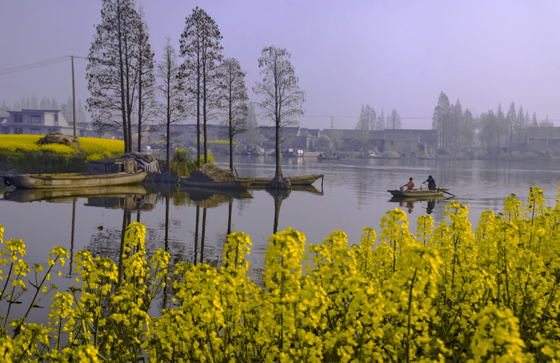 花映油区