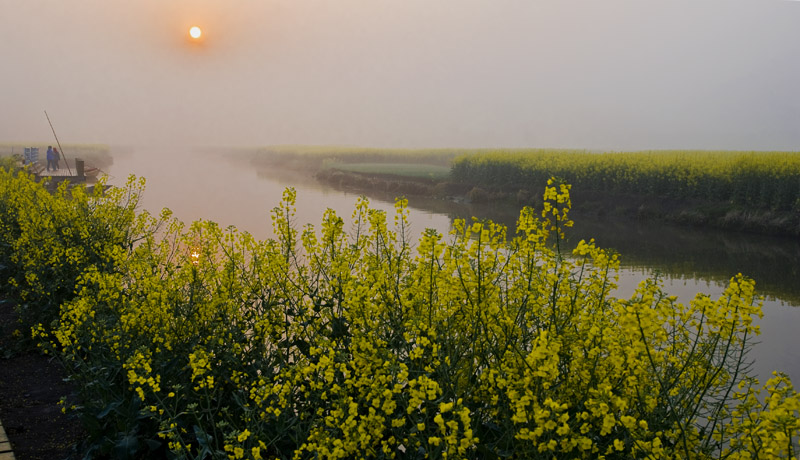 花映油区