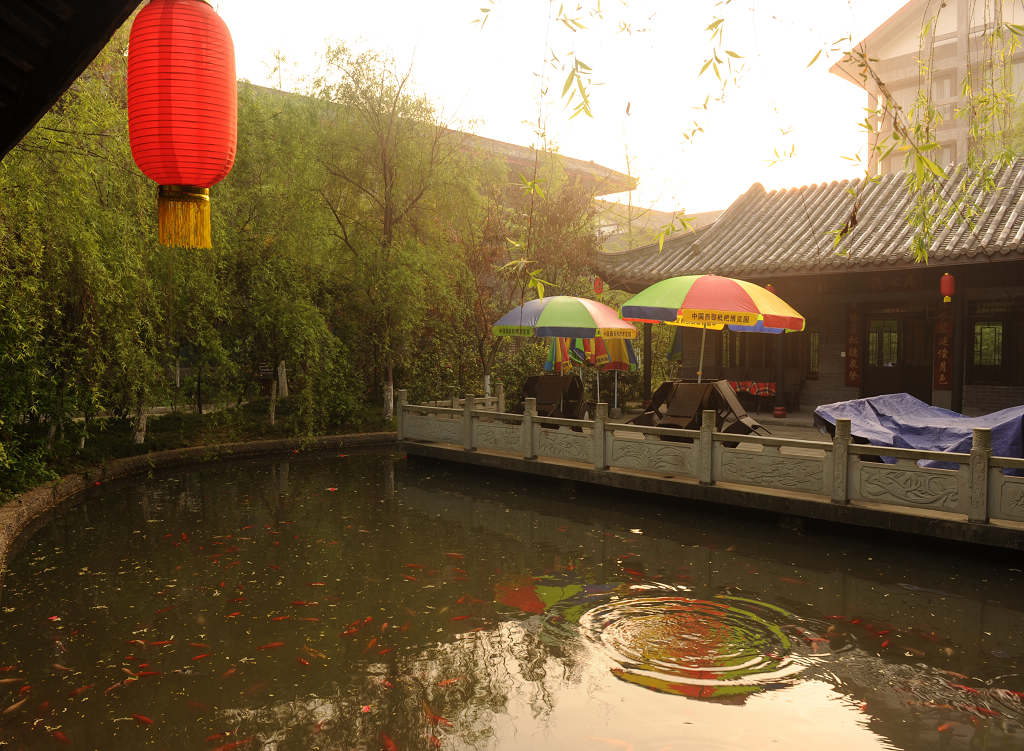 川家后院