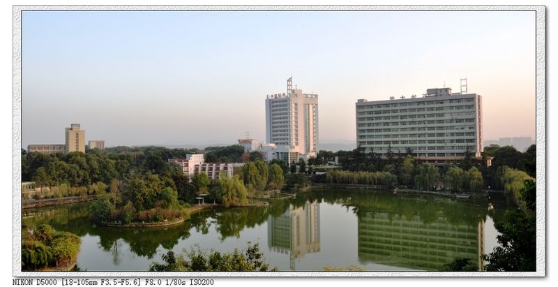 幽美校园