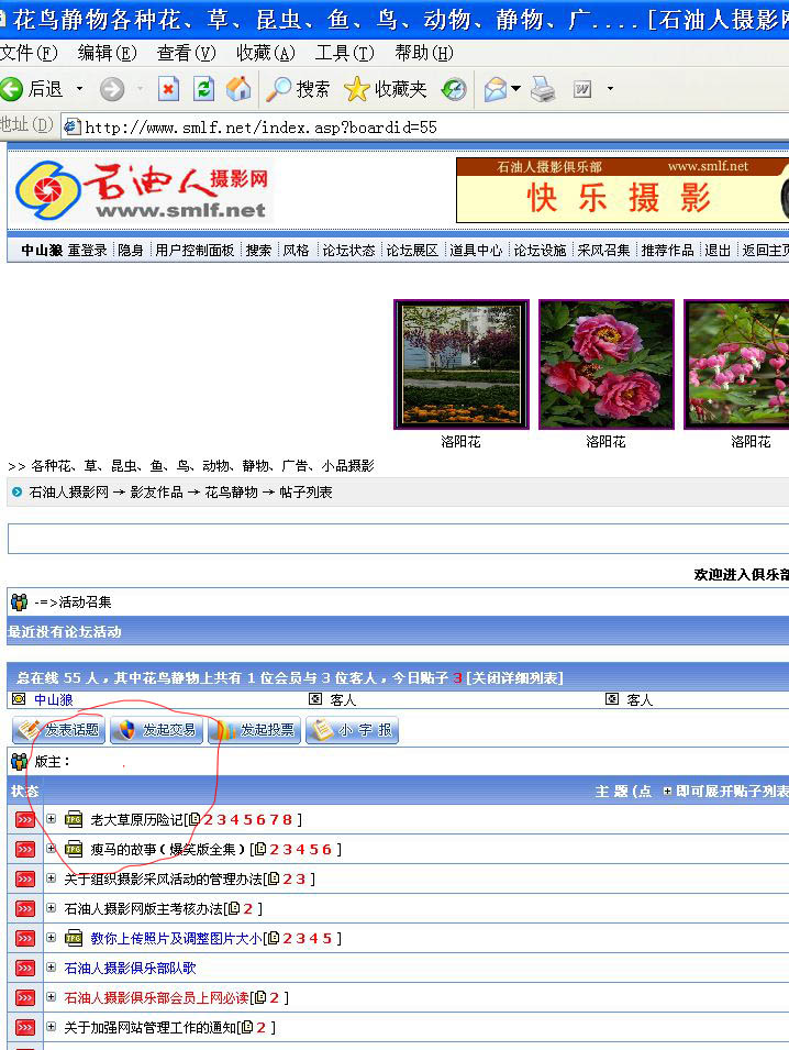 关于版主