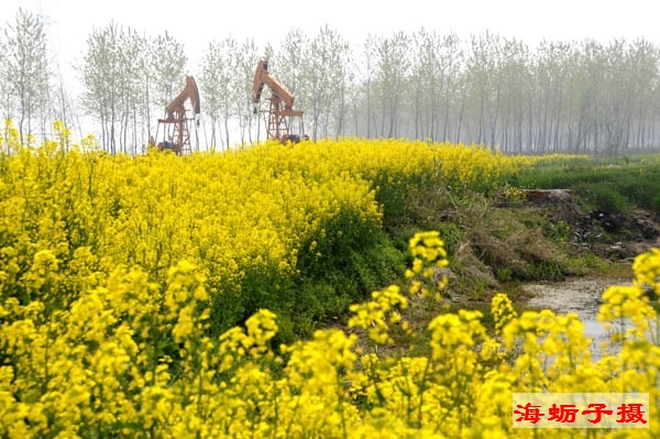 我看最美江苏油田