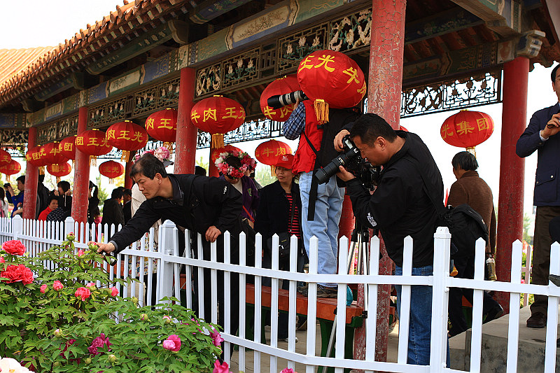 让“牡丹”飞一会儿......菏泽采风花絮